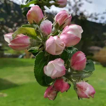 Haus Gartner 6 - 8 Personen Daire